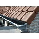 Hochepied BVBA Dachrinnenbürste