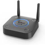 1Mii Bluetooth-Empfänger (B0301-A)