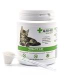 4-Beiner Vitality-Cat