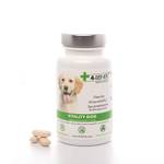 4-Beiner Vitality-Dog