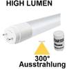 LED Röhre T8 von Besolis
