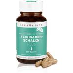 InnoNature Flohsamenschalen Plus
