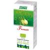 Gemüsesaft-Fenchel von Schoenenberger