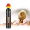 LED Ei Candler Schierlampe von Qkiss