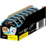 Cesar Hundefutter Senior