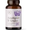 adaptogener Vitamin B Komplex von Alpha Foods
