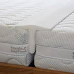 Fränkische Schlafmanufaktur Matratzen Ritzenfüller