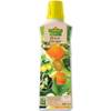 Bio Zitrusdünger von Florissa