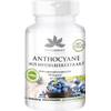 Anthocyane aus Heidelbeerextrakt von Herba Direct