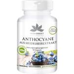 Herba Direct Anthocyane aus Heidelbeerextrakt
