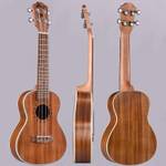 Winzz Konzert Ukulele
