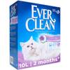 Katzenstreu von Ever Clean