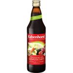 Rabenhorst Traditioneller Gemüsesaft