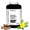 Tribulus Terrestris von Hivital Foods