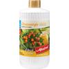 Citrusenergie von Mairol