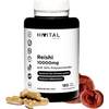 Reishi von Hivital Foods
