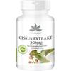 Cissus quadrangularis von Herba Direct