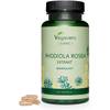 Rhodiola Rosea Extrakt von Vegavero