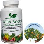Konfitee Flora Boost Zitrusdünger