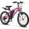 Premium Mountainbike von Licorne Bike