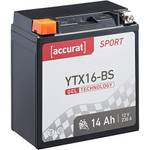 Accurat Sport