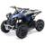 Actionbikes Motors ATV RENEBLADE
