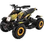 Actionbikes Motors Cobra 800
