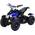 Mini-Quad ATV Cobra 800 von Actionbikes Motors