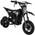 Raider von Actionbikes Motors