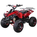 Actionbikes Motors S-10