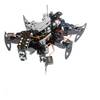 Hexapod Spider Robot von Adeept
