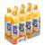 Adelholzener Active O2 Fresh Orange Sternfrucht