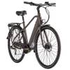 E-Citybike Hollandia Mantova von Adore