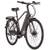 Adore E-Citybike Hollandia Mantova