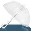 Regenschirm transparent von ADRIANO PORCARO