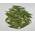 getrocknete Olivenblätter von AgoraMarket