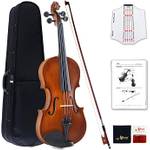 Aileen 4/4 Geige Kinder