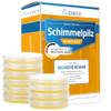 Schimmelpilz-Schnelltest von AirCheck