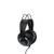 AKG K240 MKII Halboffen