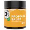 Propolis-Salbe von Aktiv Naturheilmittel
