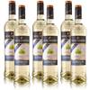 Alkoholfreier Chardonnay - 7 von Michel Schneider
