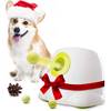 Automatische Ballwurfmaschine von All For Paws