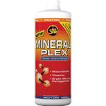 All Stars Mineral Plex