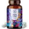 Marine-Collagen von Alpha Foods