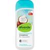 Feuchtigkeitsshampoo von Alverde Naturkosmetik