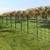 Amagabeli Garden Home Maschendraht Drahtzaun