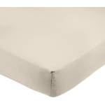 Amazon Basics Spannbettlaken