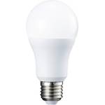 AmazonBasics 929001365605