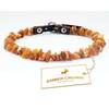 Bernstein-Halsband Hund von Amber Neck