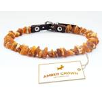 Amber Neck Bernstein-Halsband Hund